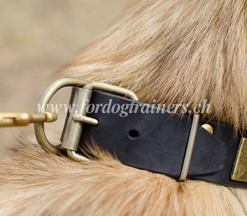 Leder Hundehalsband platten und Spikes fr tervueren