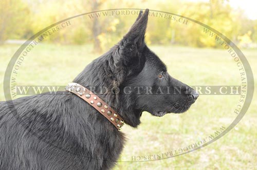 Hundehalsbnder Leder Hundehalsband
fr Schferhund kaufen