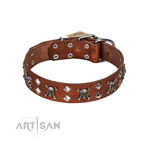 Hundehalsband hellbraun totenkopf artisan