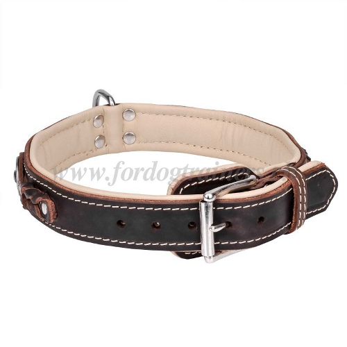 Handgemachtes lederhalsband hund individuell