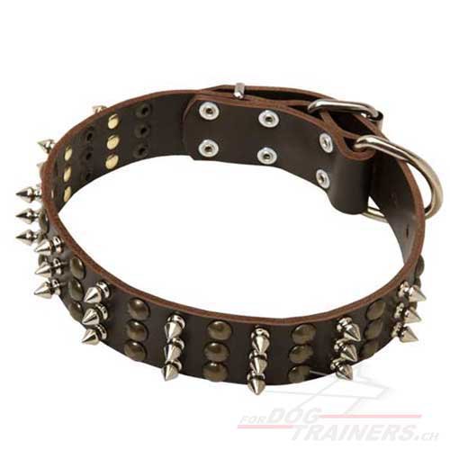 genietetes leder Hunde halsband basel