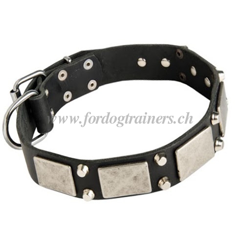 Schferhund Hundehalsband Leder mit Platten und
Kegel