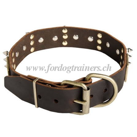 Leder Hundehalsband mit Bronze-Platten und Nickel-Spikes
fr Schferhund