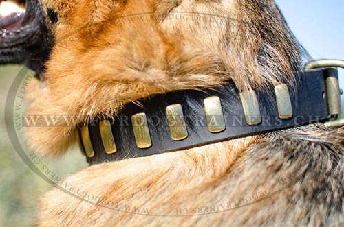 Handgemachtes Leder
Hundehalsband fr Schferhund mit Platten