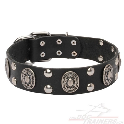 halsband breit conchos und nieten schweiz