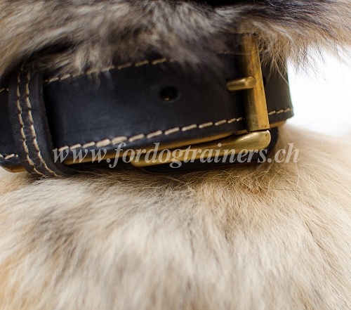 Handgemachtes Lederhalsband Nappa fr Tervueren Hund