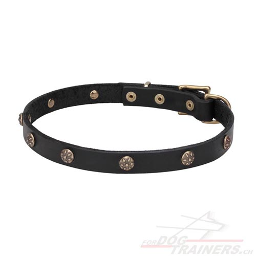 hunde halsband echtes leder gravierte messing
nieten