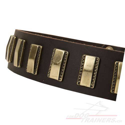 Leder Hundehalsband mit platten fr hund bestellen