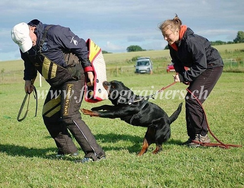 jute Schutzarm rottweiler schweiz kaufen