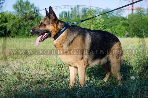 Handgemachtes Leder Hundehalsband fr Schferhund mit
Nameschild