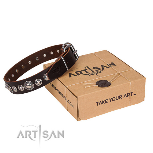 Hundehalsband braun mit verzierung artisan