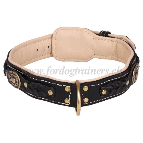 Handgemachtes halsband hund individuell