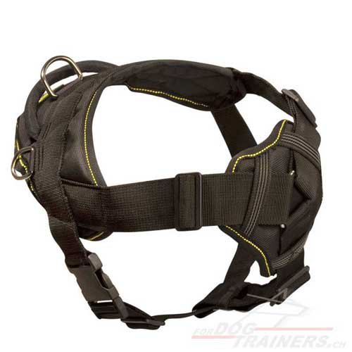 Dobermann Geschirr Nylon Sport