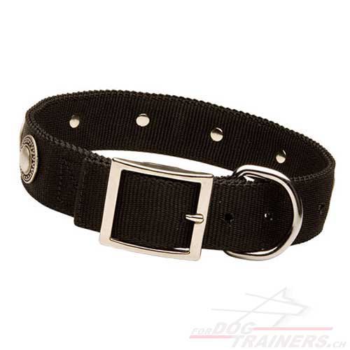 Nylon Hundehalsband mit silbernen Kreisen fr Schferhund