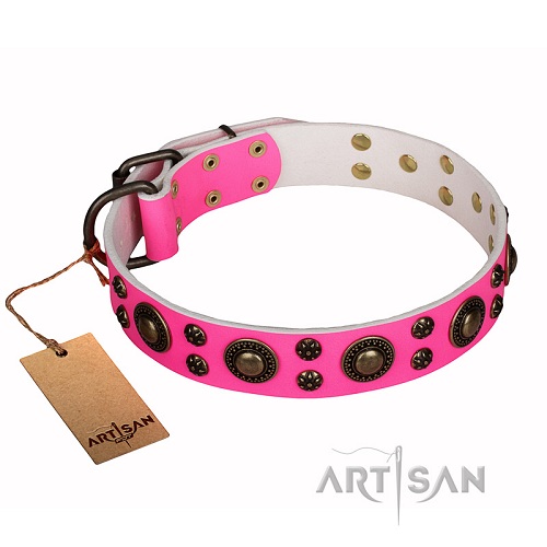 Halsband aus Rosa Leder mit Messing-Dekoration