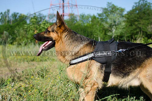 Solides Nylon Hundegeschirr fr Schferhund Schweiz