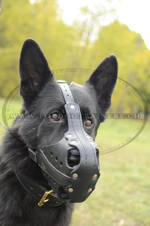 Training leder Hundemaulkorb fr
Deutschen Schferhund mit Polsterung