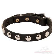 Collier en cuir extraordinaire avec rivets dcoratifs pour chien