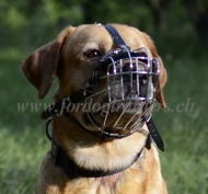 Maulkorb Schner fr Labrador Hund New 2023