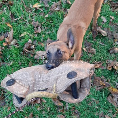 Beisskissen mit 2 Griffen fr Malinois - zum Schließen ins Bild klicken