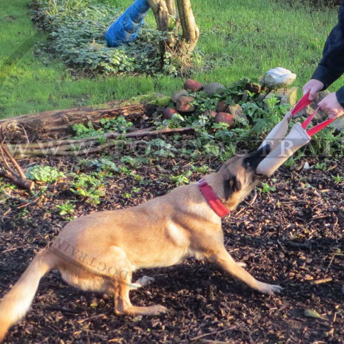 Jute Beisswulst fr Malinois-Training, Bringsel - zum Schließen ins Bild klicken