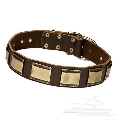 New Design Lederhalsband mit Massiven Messingplatten fr Hunde - zum Schließen ins Bild klicken