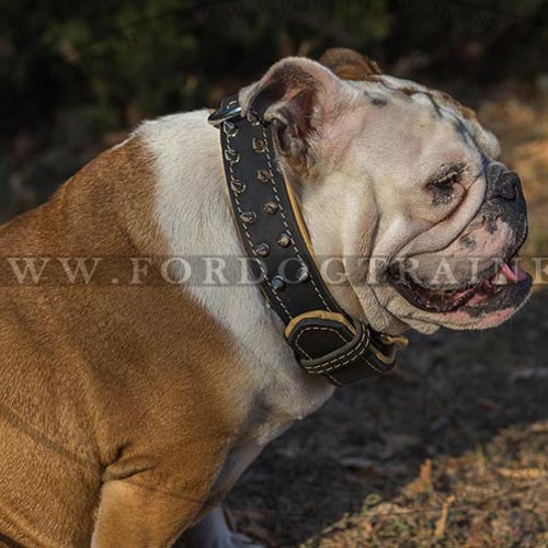 Nappa Leder Hundehalsband mit Spikes Kreatives Design - zum Schließen ins Bild klicken