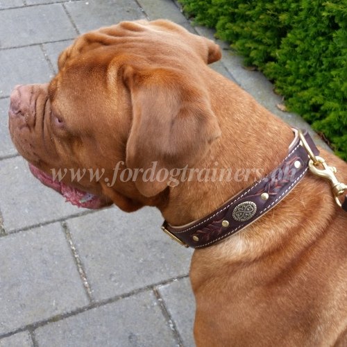 Dogue de Bordeaux Leder Hundehalsband Kniglich - zum Schließen ins Bild klicken