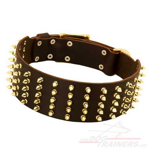 Hunde Lederhalsband mit Spikes aus Messing Extra Breit - zum Schließen ins Bild klicken