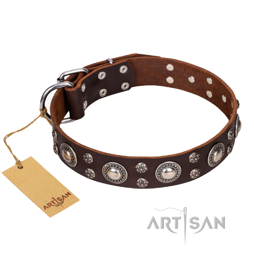 Hundehalsband Braun "Age of Beauty" FDT Artisan - zum Schließen ins Bild klicken