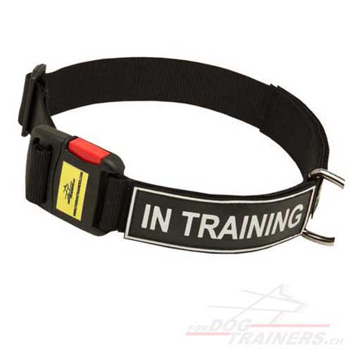 Logohalsband fr Sport und Training | Halsband fr Hunde - zum Schließen ins Bild klicken