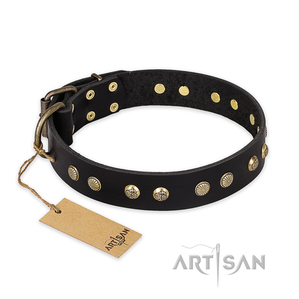 Exklusives Nietenhalsband fr Hund "Black Elegance" FDT Artisan - zum Schließen ins Bild klicken