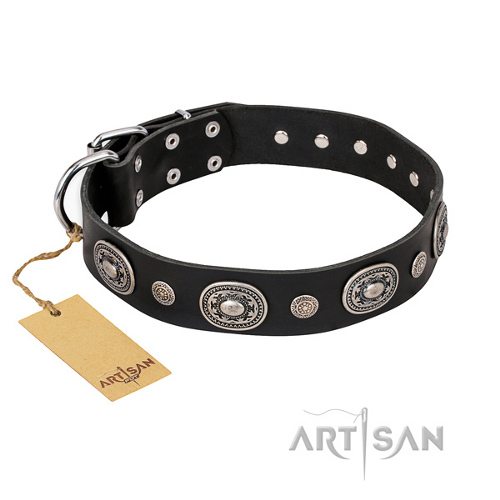 "Black Tie" FDT Artisan Hundehalsband Leder breit - zum Schließen ins Bild klicken