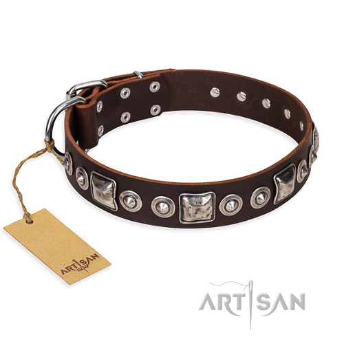 Braunes Hundehalsband aus Leder "Pierian spring" FDT Artisan - zum Schließen ins Bild klicken