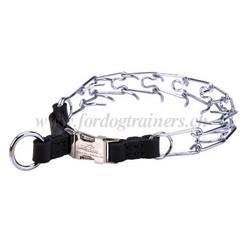 Safe Pinch Collar for your Dog - zum Schließen ins Bild klicken