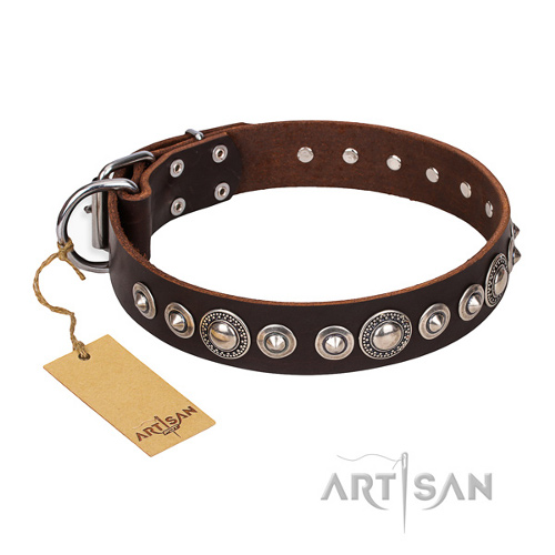 Braunes Halsband mit Rundnieten "Step and Sparkle" FDT Artisan - zum Schließen ins Bild klicken