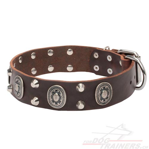 Leder Hundehalsband mit ovalen Conchos und Nieten - zum Schließen ins Bild klicken