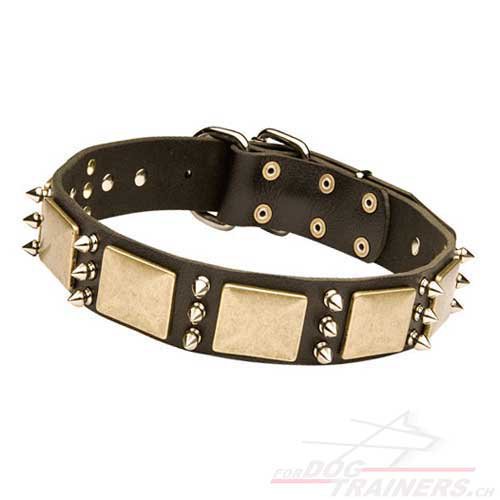 Edles Hundehalsband mit Platten und Spikes | Schnes Halsband - zum Schließen ins Bild klicken