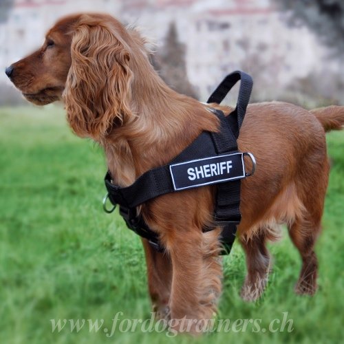 Hundegeschirr aus Nylon fr Cocker Spaniel - zum Schließen ins Bild klicken