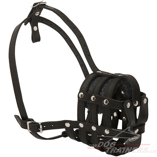 Leather Dog Muzzle for Any Breed M41