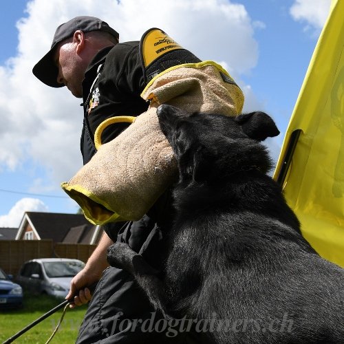 Hetzarm K9 von Expertsniveau + Verkleidung aus Jute - zum Schließen ins Bild klicken