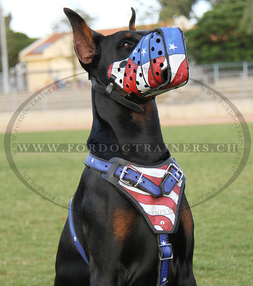 Dobermann Maulkorb "Amerikanischer Stolz", Bemaltes Leder - zum Schließen ins Bild klicken