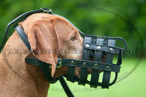 Maulkorb fr Ridgeback, Geflochtener Maulkorb mit Belftung - zum Schließen ins Bild klicken