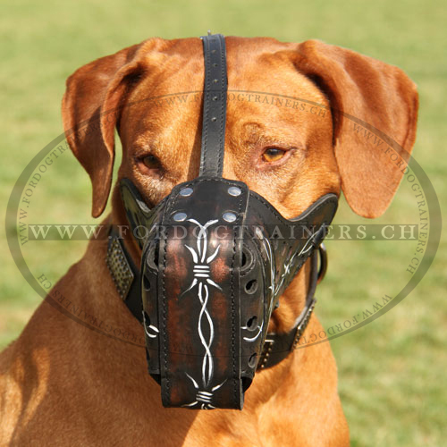 Maulkorb mit Muster fr Rhodesian Ridgeback, Bemalter Maulkorb - zum Schließen ins Bild klicken