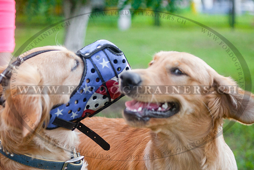 Hundemaulkorb Leder fr Retriever, USA Bemalung ☆ - zum Schließen ins Bild klicken