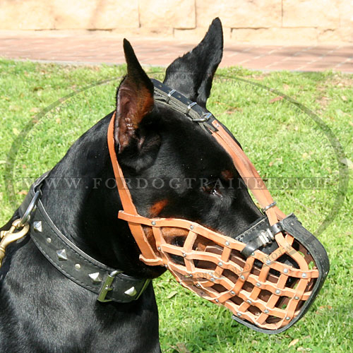 Trainingsmaulkorb fr Dobermann, Maulkorb fr Stoarbeit - zum Schließen ins Bild klicken