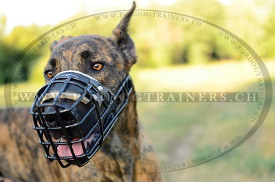 Maulkorb Gummierter fr Deutsche Dogge | Hundemaulkorb 2019/20 - zum Schließen ins Bild klicken