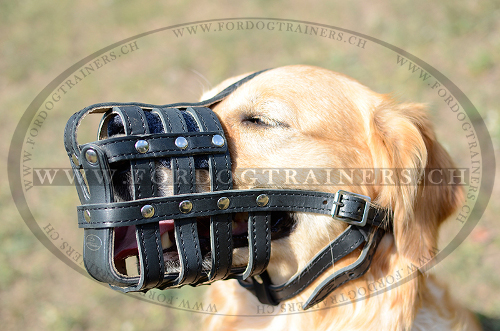 Maulkorb fr Golden Retriever, Geflochtener Leder Maulkorb - zum Schließen ins Bild klicken