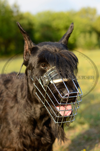 Maulkorb Draht fr Hunde, Gittermaulkorb fr Riesenschnauzer - zum Schließen ins Bild klicken