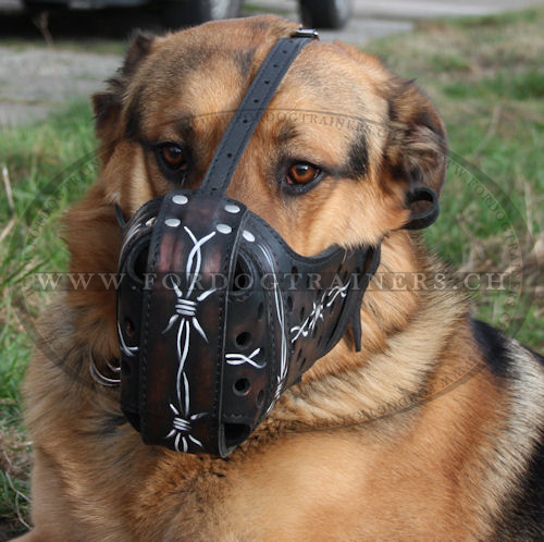 Maulkorb fr Deutschen Schferhund, Bemalter Maulkorb - zum Schließen ins Bild klicken